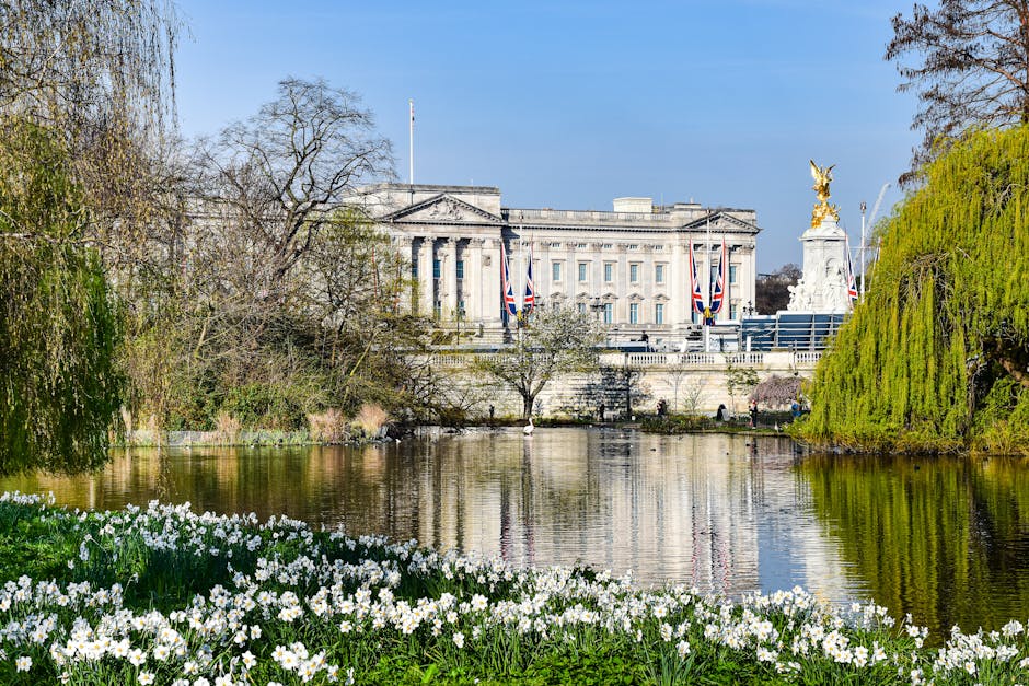 A view of Buckingham Palace situated behind a body of water, with the palace's facade adorned with Union Jack flags and a golden statue on a pedestal. The scene is framed by trees, including a weeping willow with bright green foliage on the right and leafless trees on the left, indicating early spring or late winter. In the foreground, there is a floral bed filled with white flowers near the water's edge, and the reflection of the trees and palace can be seen on the calm surface of the water. The sky is clear and blue, providing natural lighting that highlights the architecture of the palace. The image captures a peaceful moment during a house or home relocation process, where Westminster Removals might be assisting with furniture transport or packing and moving activities near this iconic London landmark.
